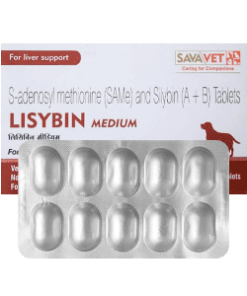 Lisybin Medium